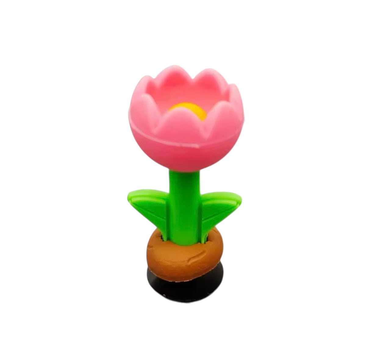 Tulipán